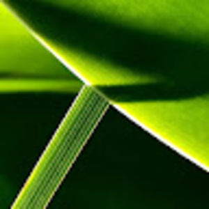 Meet your Posher, Roger